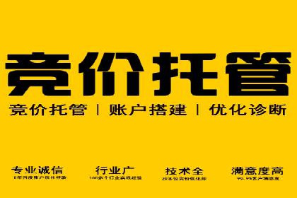 百度竞价案例：打造爆款广告案例解析